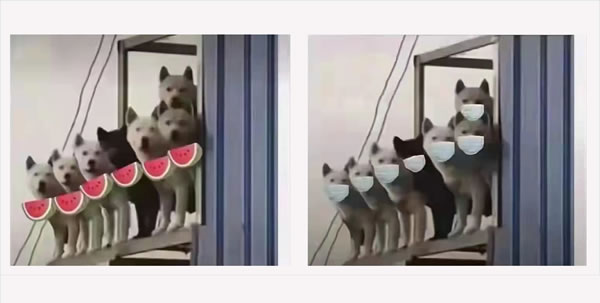 心情