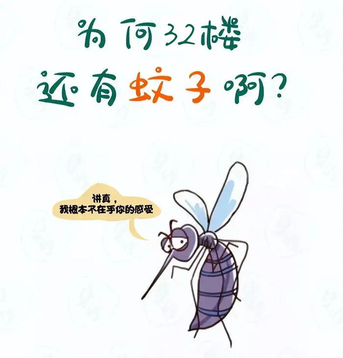 wenzi.jpg